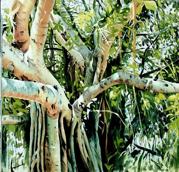 Banyan tree and prayers